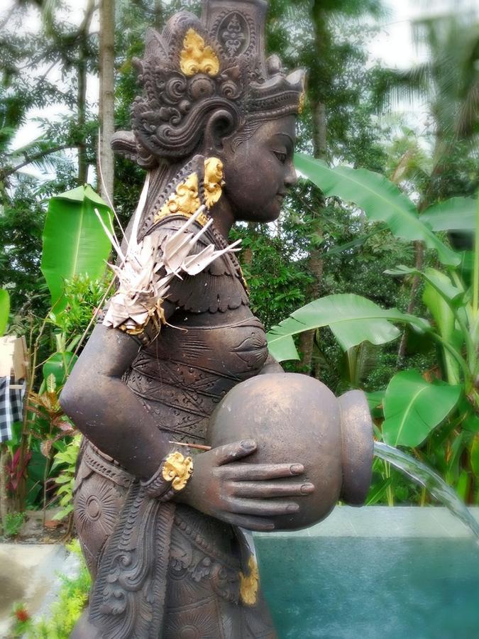 Amaya Cottage Ubud By Shm المظهر الخارجي الصورة