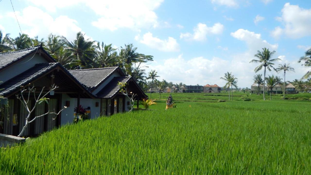 Amaya Cottage Ubud By Shm المظهر الخارجي الصورة