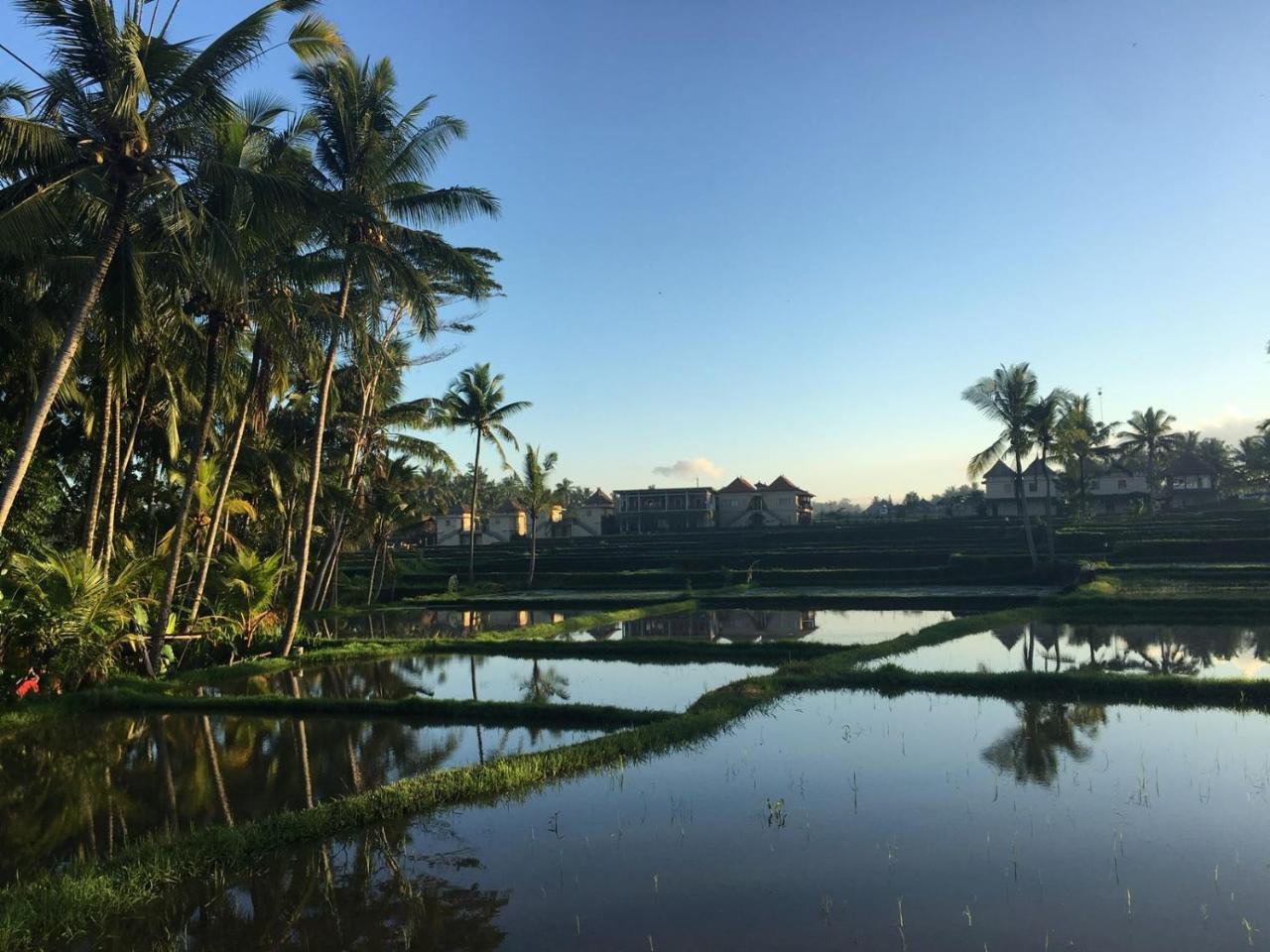 Amaya Cottage Ubud By Shm المظهر الخارجي الصورة