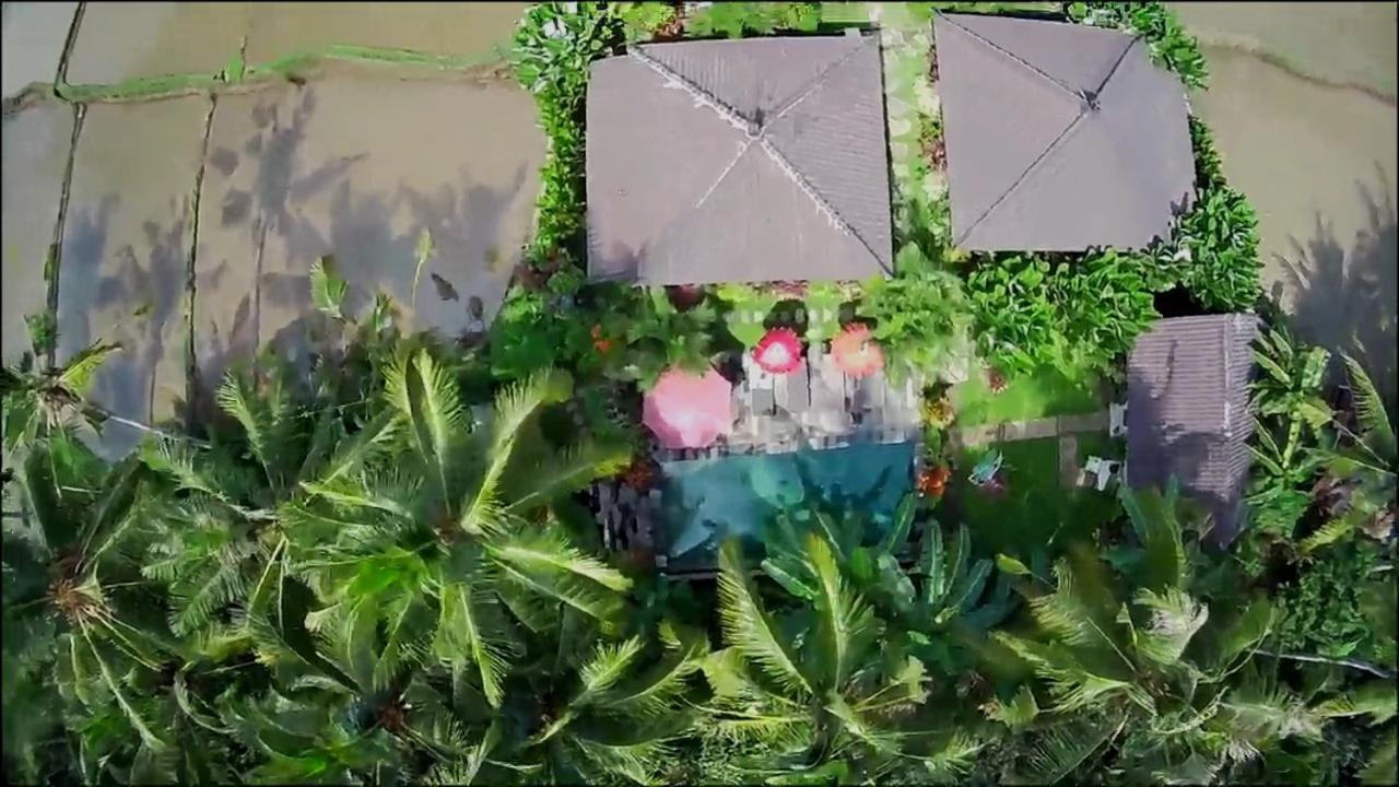 Amaya Cottage Ubud By Shm المظهر الخارجي الصورة